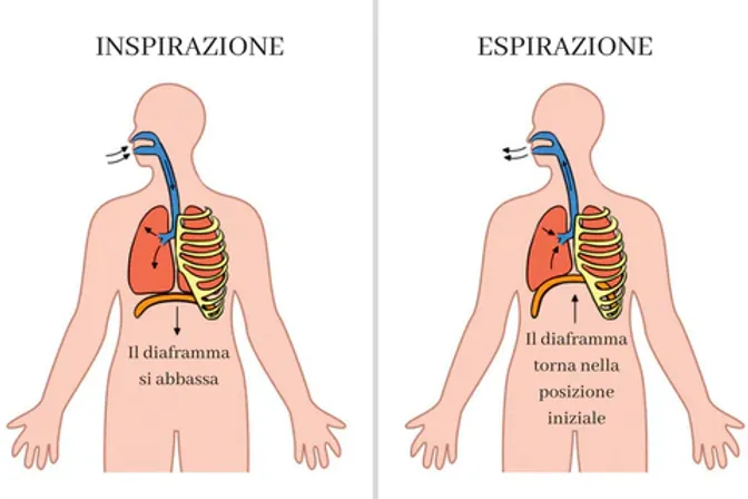 schema respirazione diaframmatica