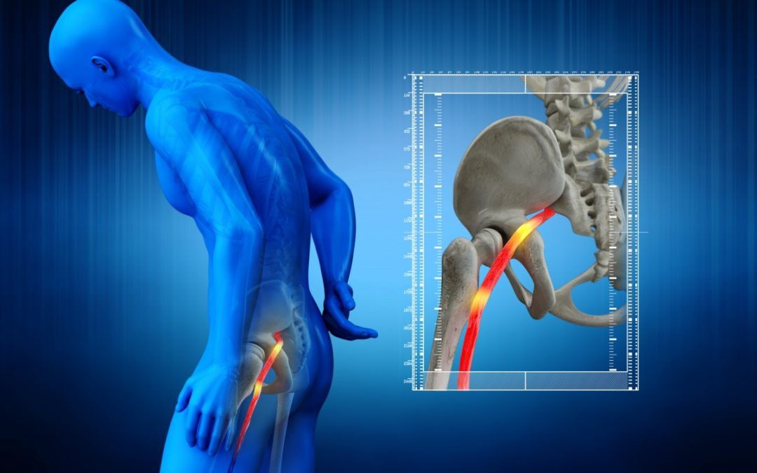 Sindrome del piriforme: fisiologia