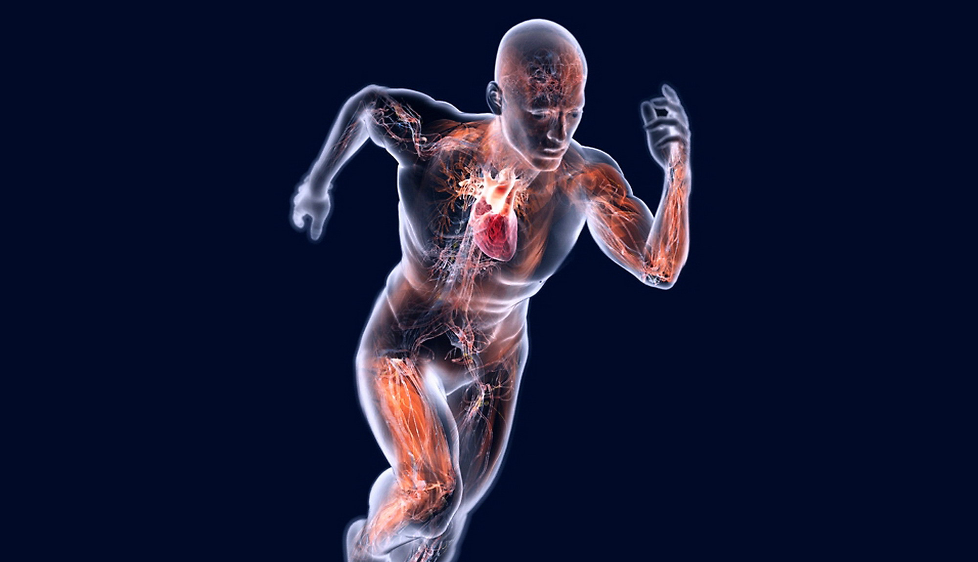 sport-medicina - evoluzione